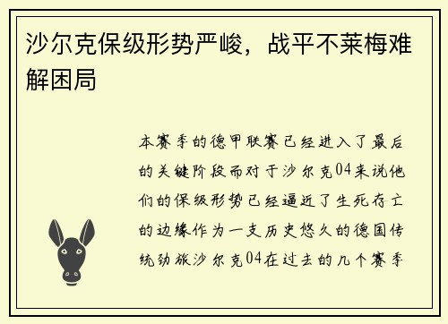 沙尔克保级形势严峻，战平不莱梅难解困局